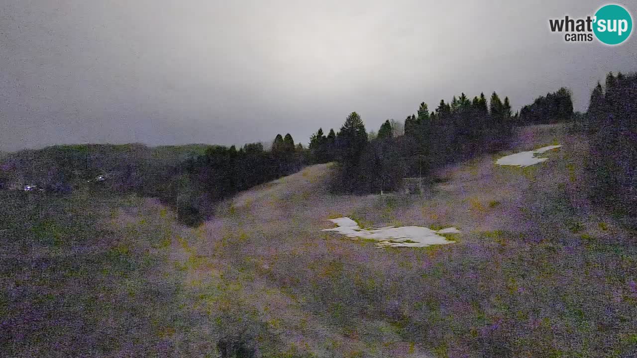 Webcam Smučišče Senožeta – Skigebiet in Srednja Vas bei Bohinj