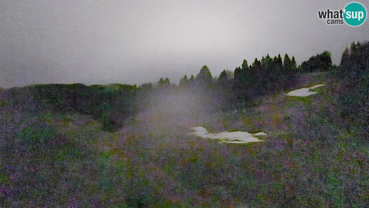 Webcam Smučišče Senožeta – Skigebiet in Srednja Vas bei Bohinj