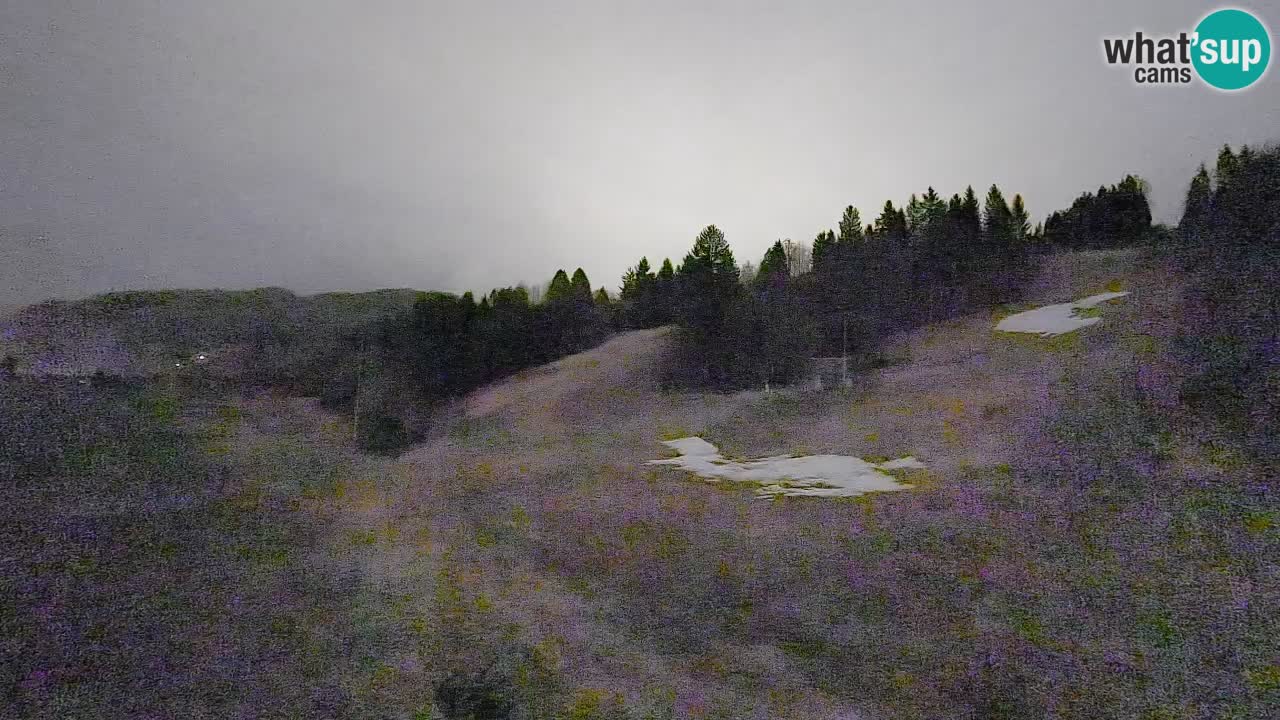 Webcam Smučišče Senožeta – Ski Resort Live View near Bohinj