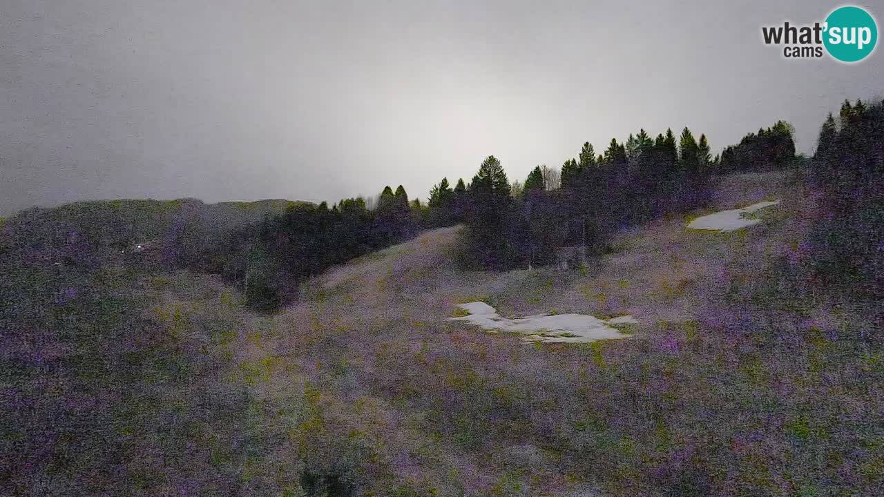 Webcam Smučišče Senožeta – Stazione sciistica a Srednja Vas vicino Bohinj