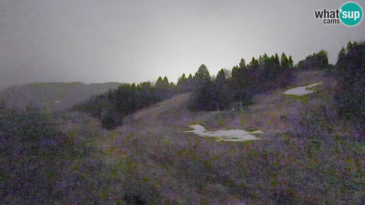 Webcam Smučišče Senožeta – Ski Resort Live View near Bohinj