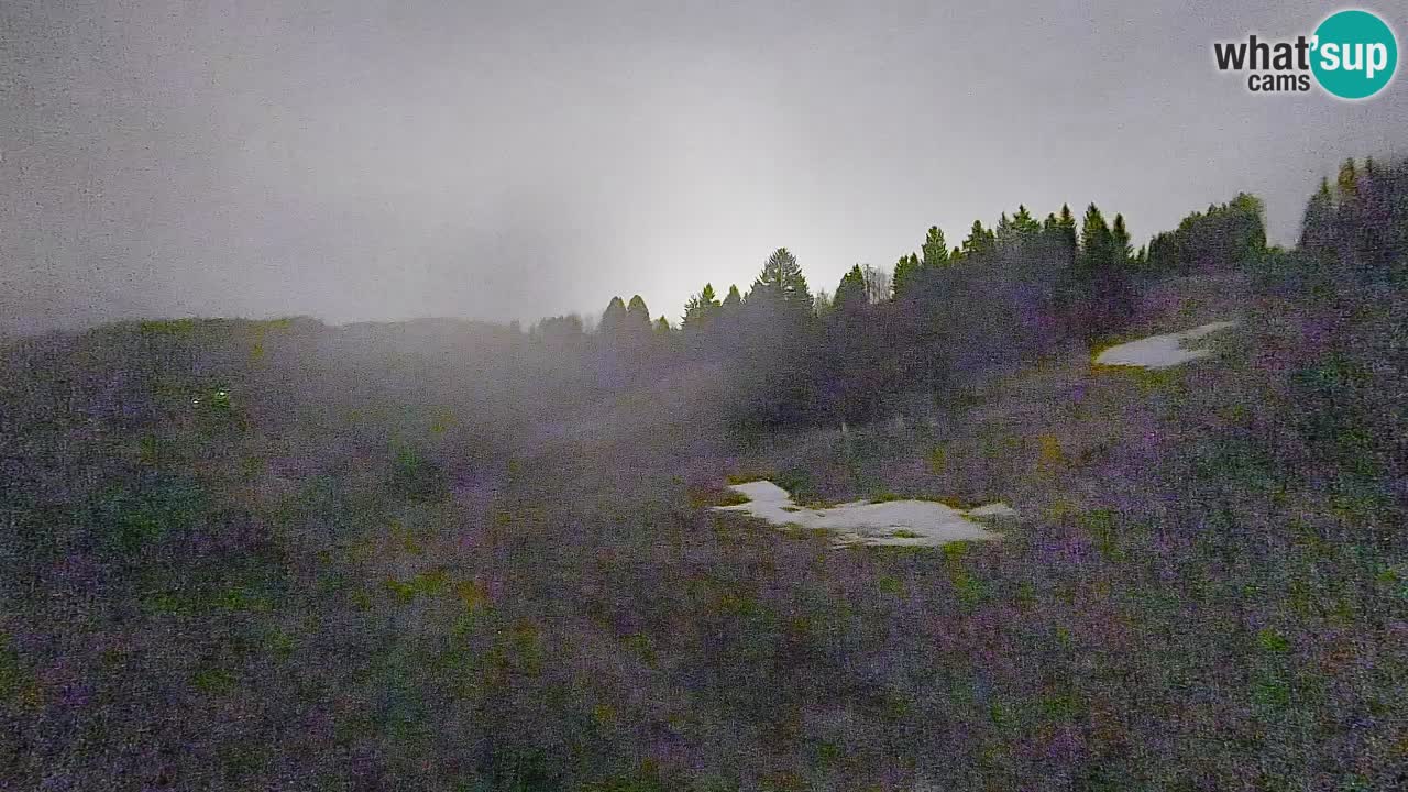 Webcam Smučišče Senožeta – Skigebiet in Srednja Vas bei Bohinj