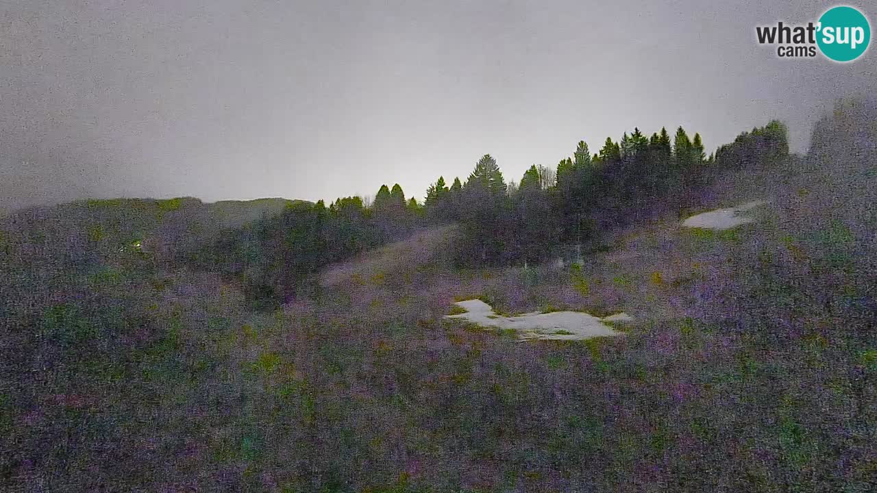 Spletna kamera Smučišče Senožeta – smučarsko središče v Srednji vasi pri Bohinju