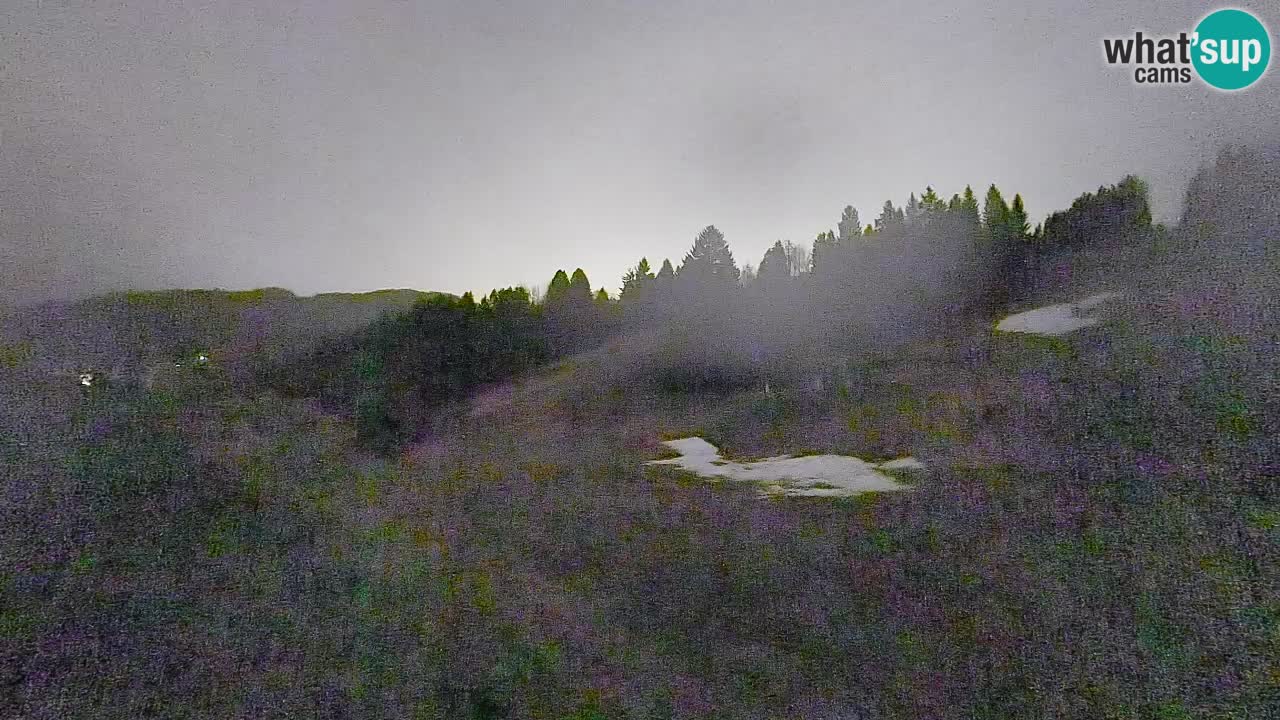 Web kamera Smučišče Senožeta – Skijalište u Srednjoj Vasi kod Bohinja