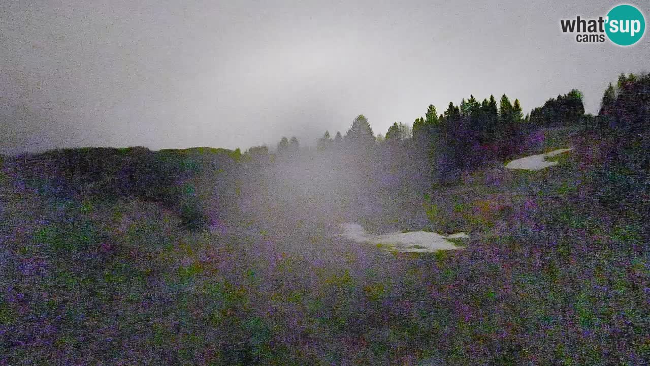 Webcam Smučišče Senožeta – Skigebiet in Srednja Vas bei Bohinj