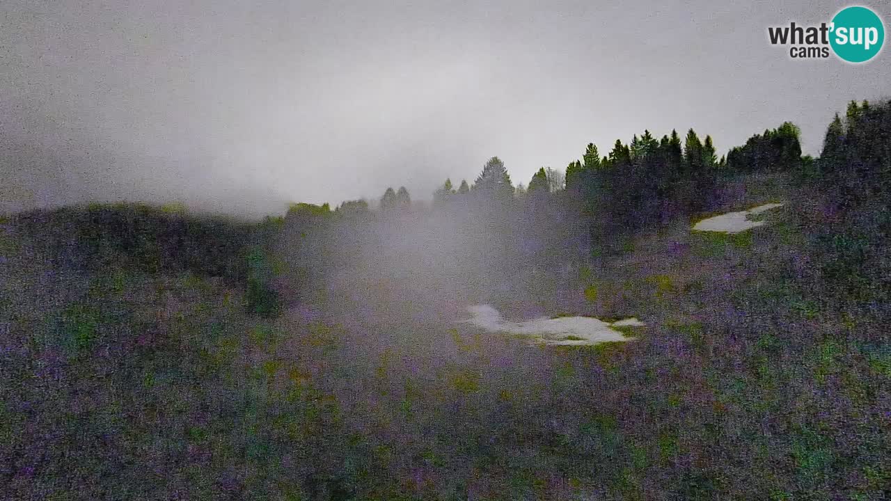 Cámara web Smučišče Senožeta – Estación de esquí en Srednja Vas cerca de Bohinj