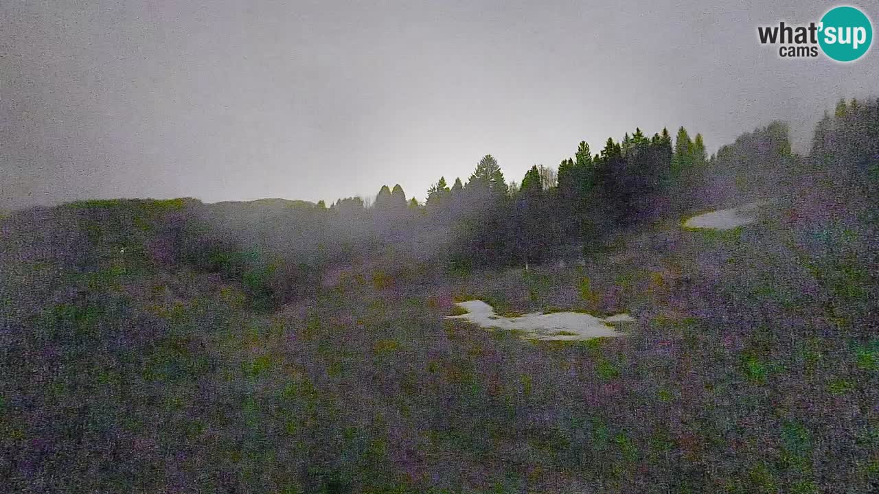 Webcam Smučišče Senožeta – Station de ski à Srednja Vas près de Bohinj