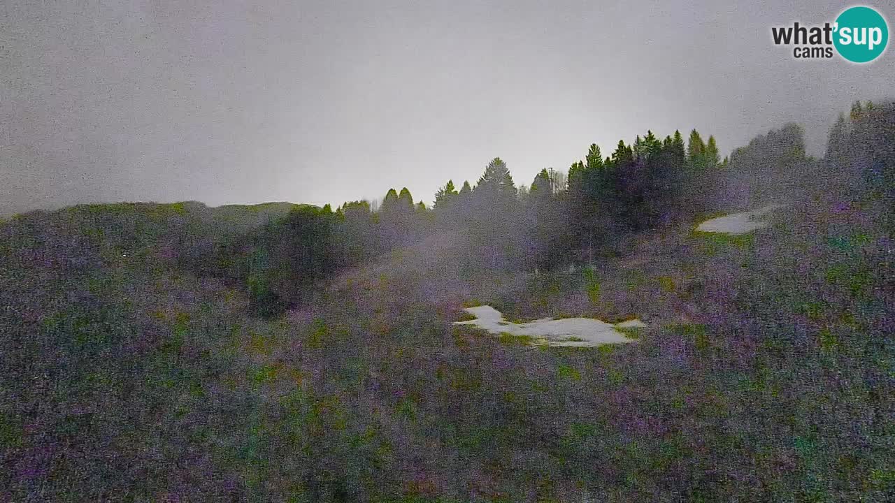 Webcam Smučišče Senožeta – Ski Resort Live View near Bohinj