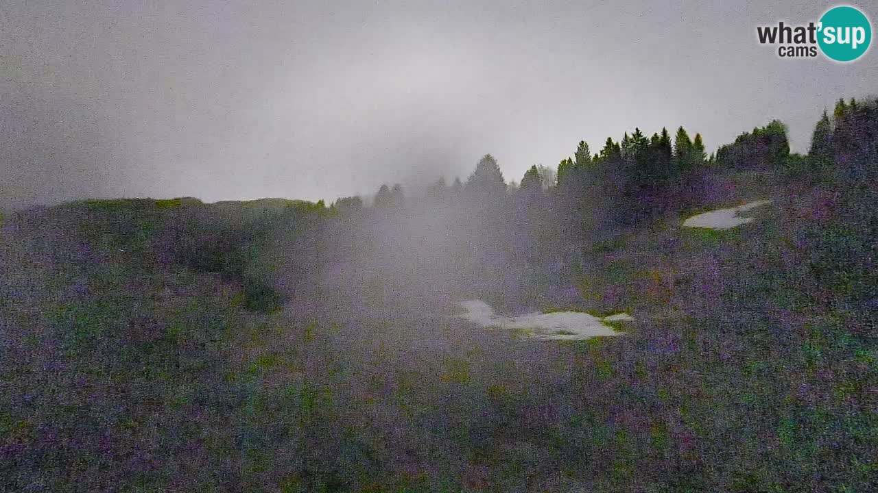 Webcam Smučišče Senožeta – Ski Resort Live View near Bohinj