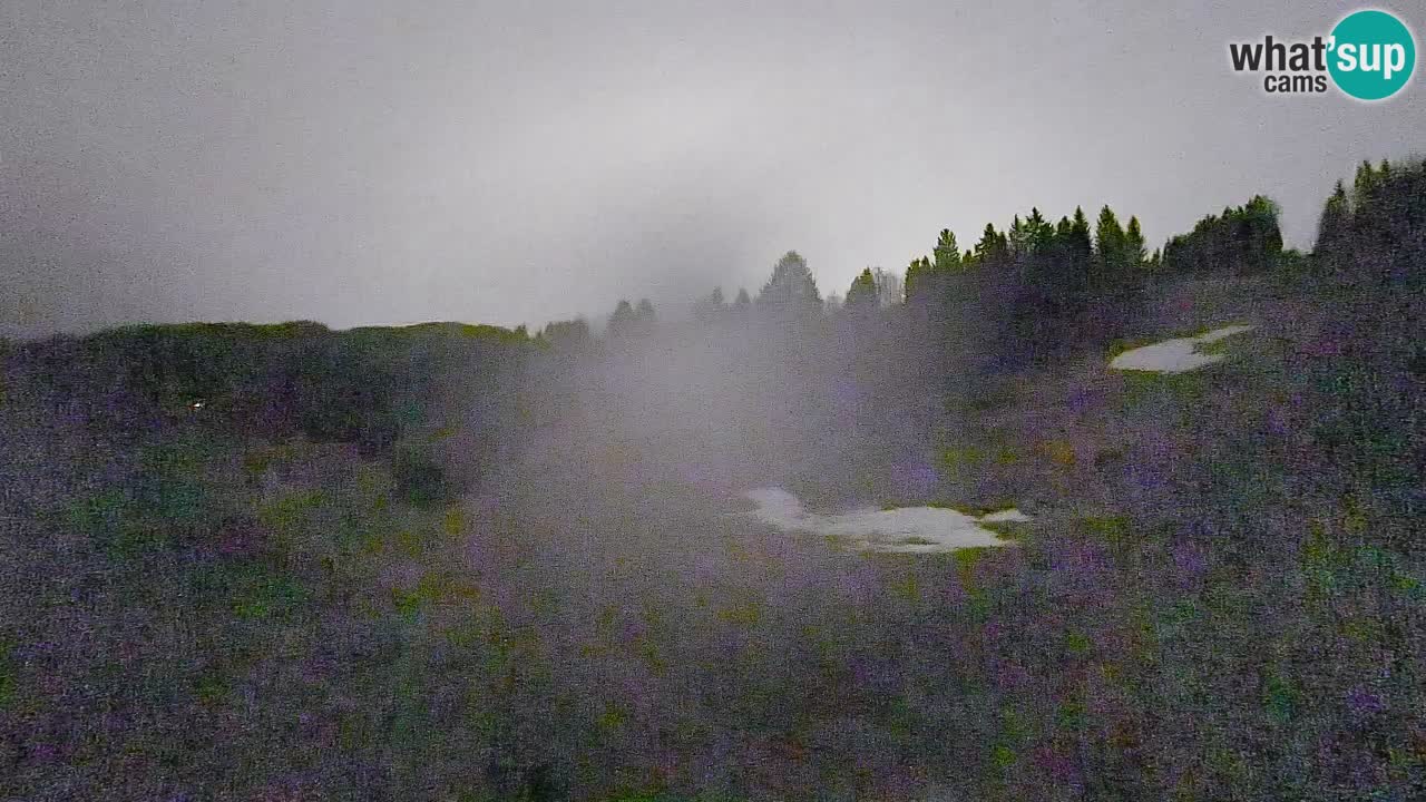 Webcam Smučišče Senožeta – Station de ski à Srednja Vas près de Bohinj