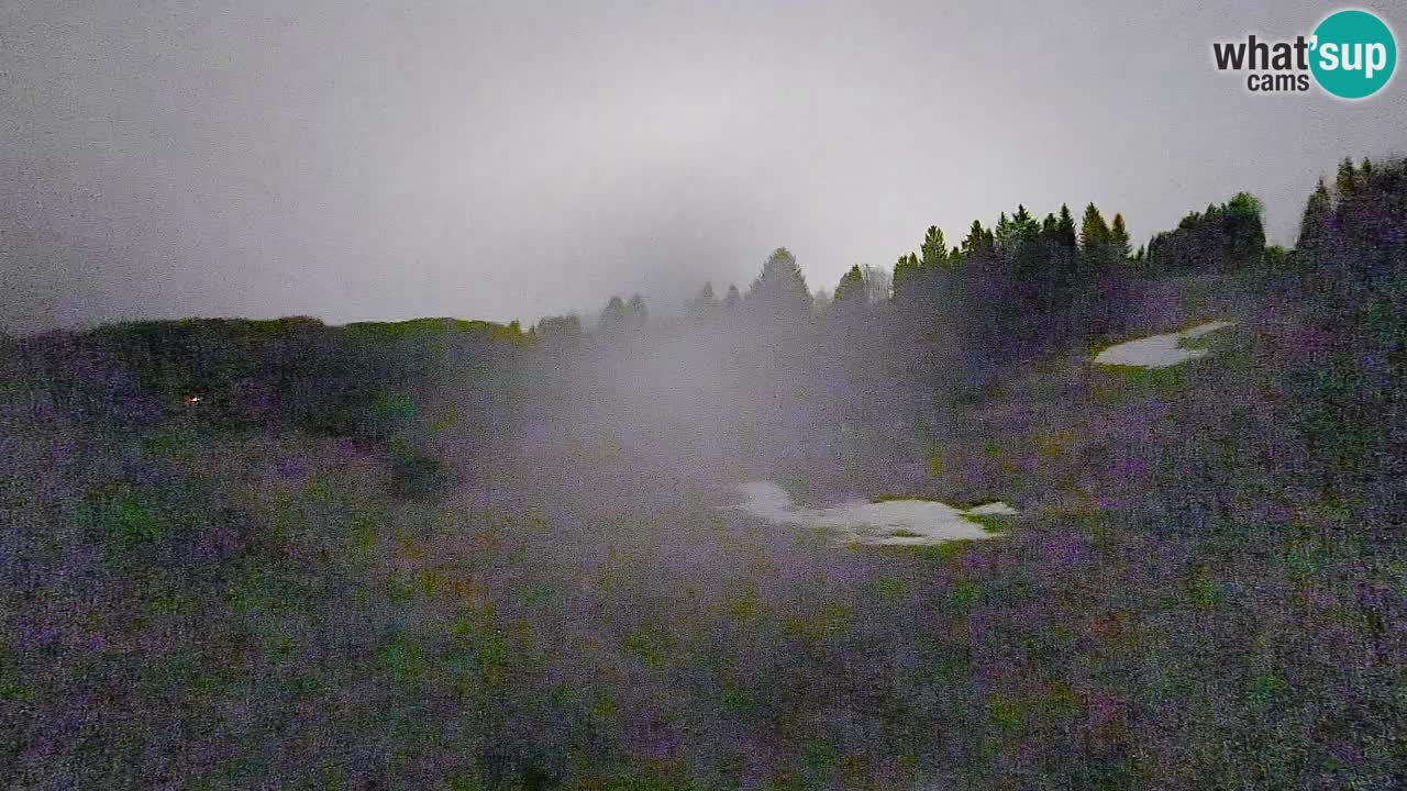 Webcam Smučišče Senožeta – Ski Resort Live View near Bohinj