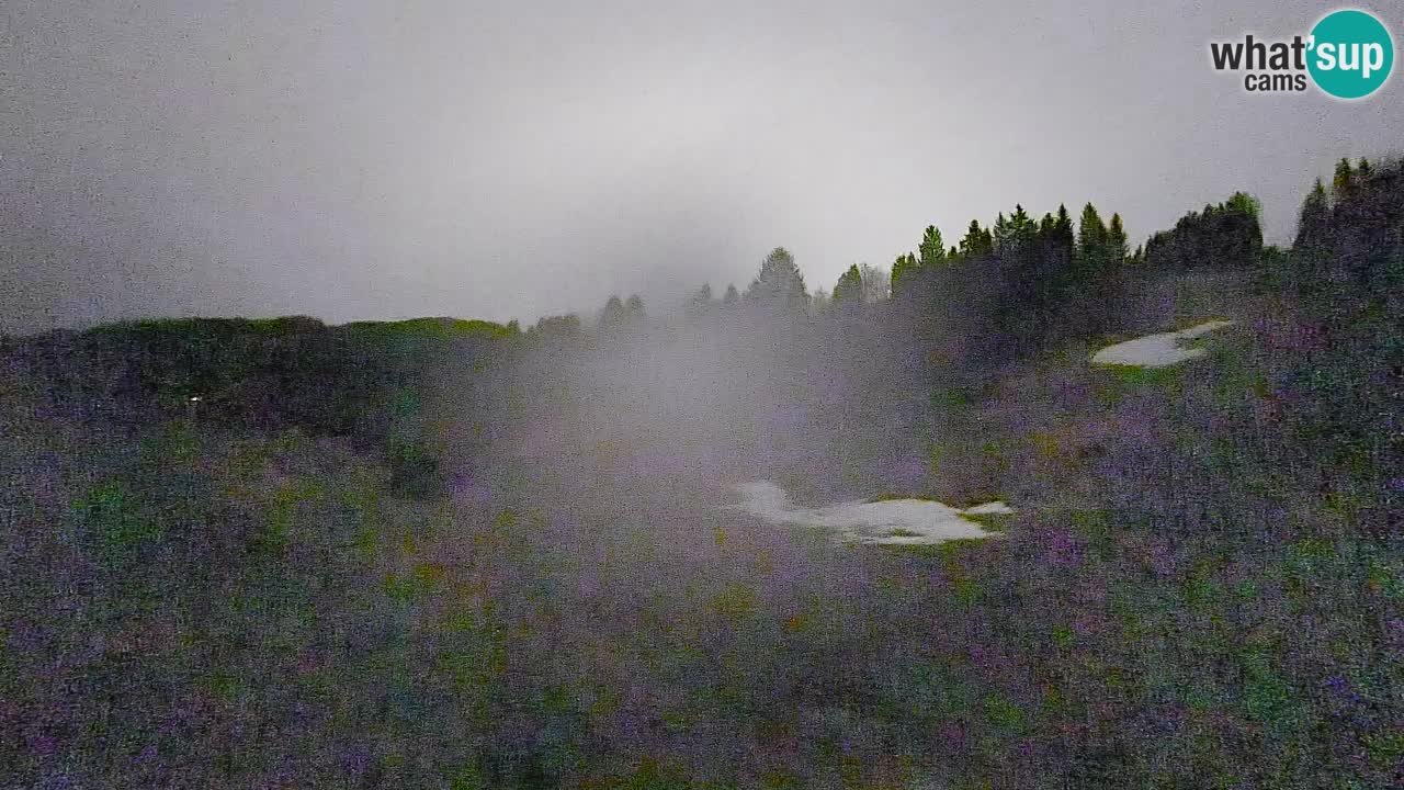 Webcam Smučišče Senožeta – Stazione sciistica a Srednja Vas vicino Bohinj