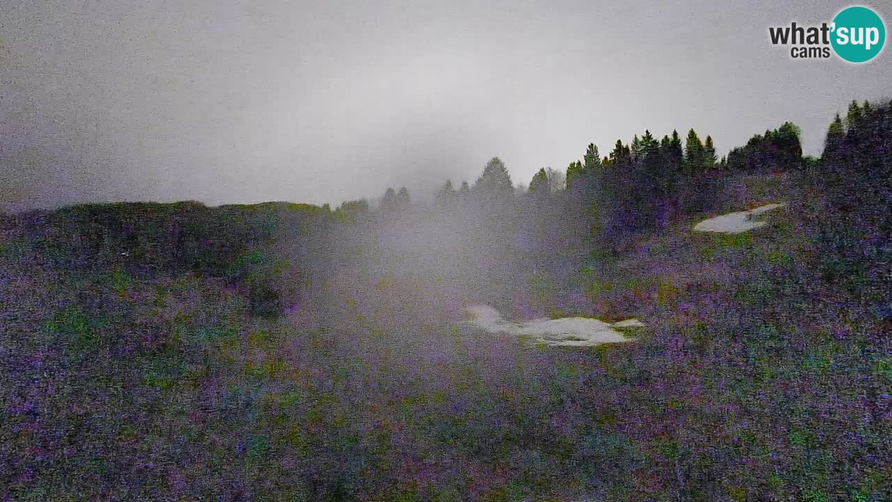 Cámara web Smučišče Senožeta – Estación de esquí en Srednja Vas cerca de Bohinj