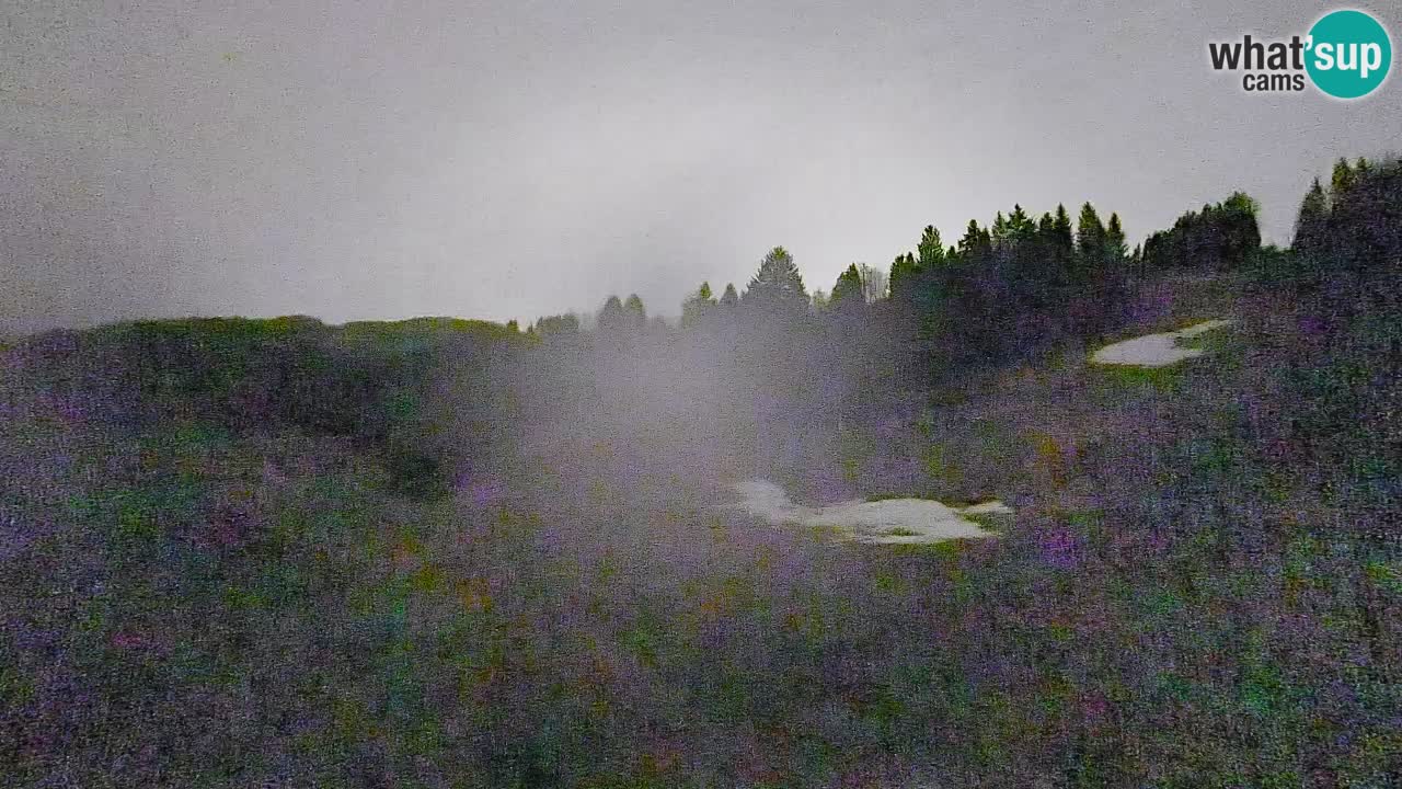 Webcam Smučišče Senožeta – Skigebiet in Srednja Vas bei Bohinj