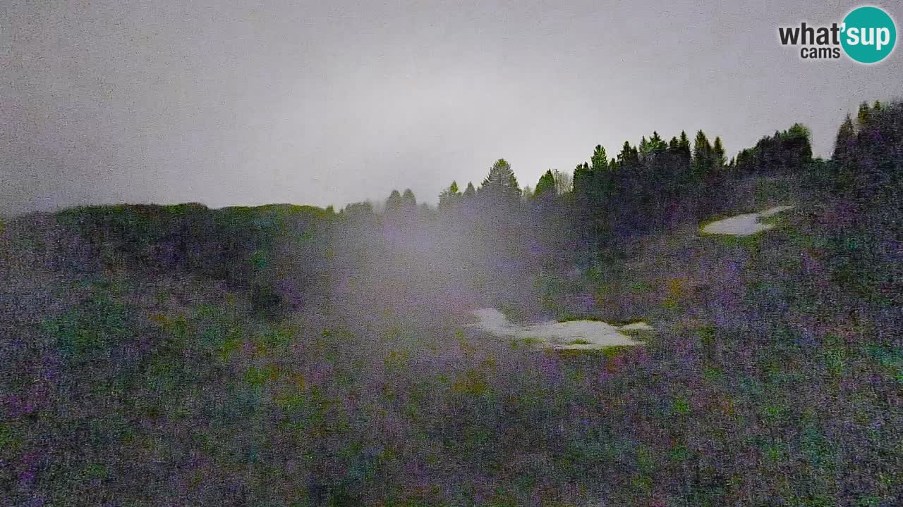 Webcam Smučišče Senožeta – Ski Resort Live View near Bohinj