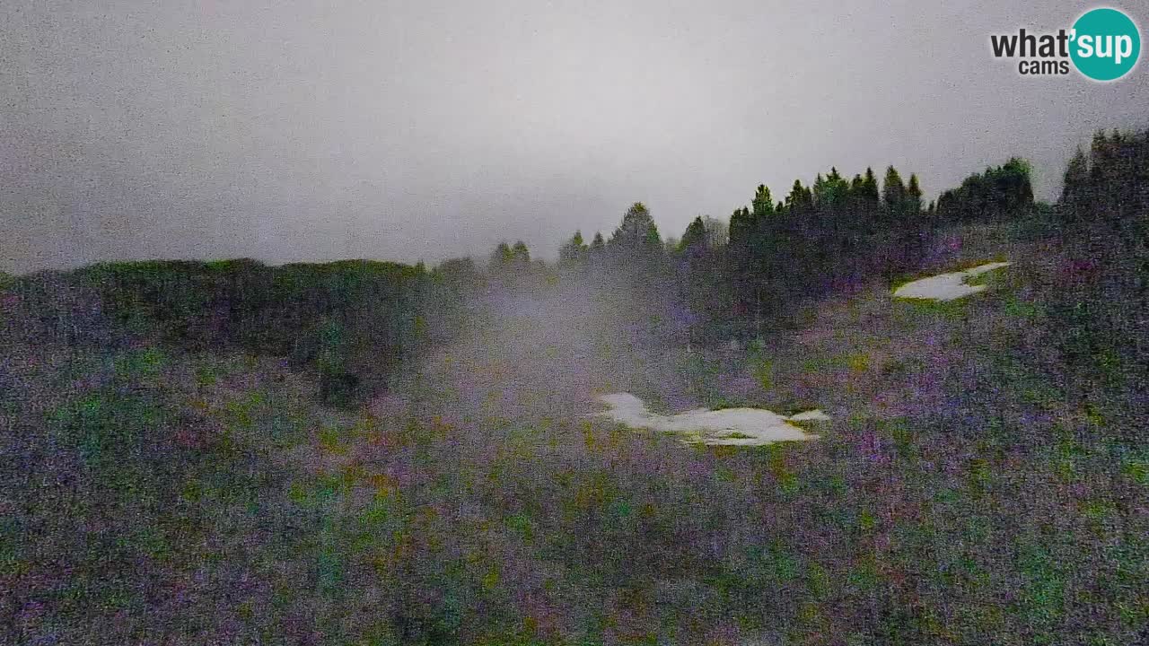 Webcam Smučišče Senožeta – Station de ski à Srednja Vas près de Bohinj