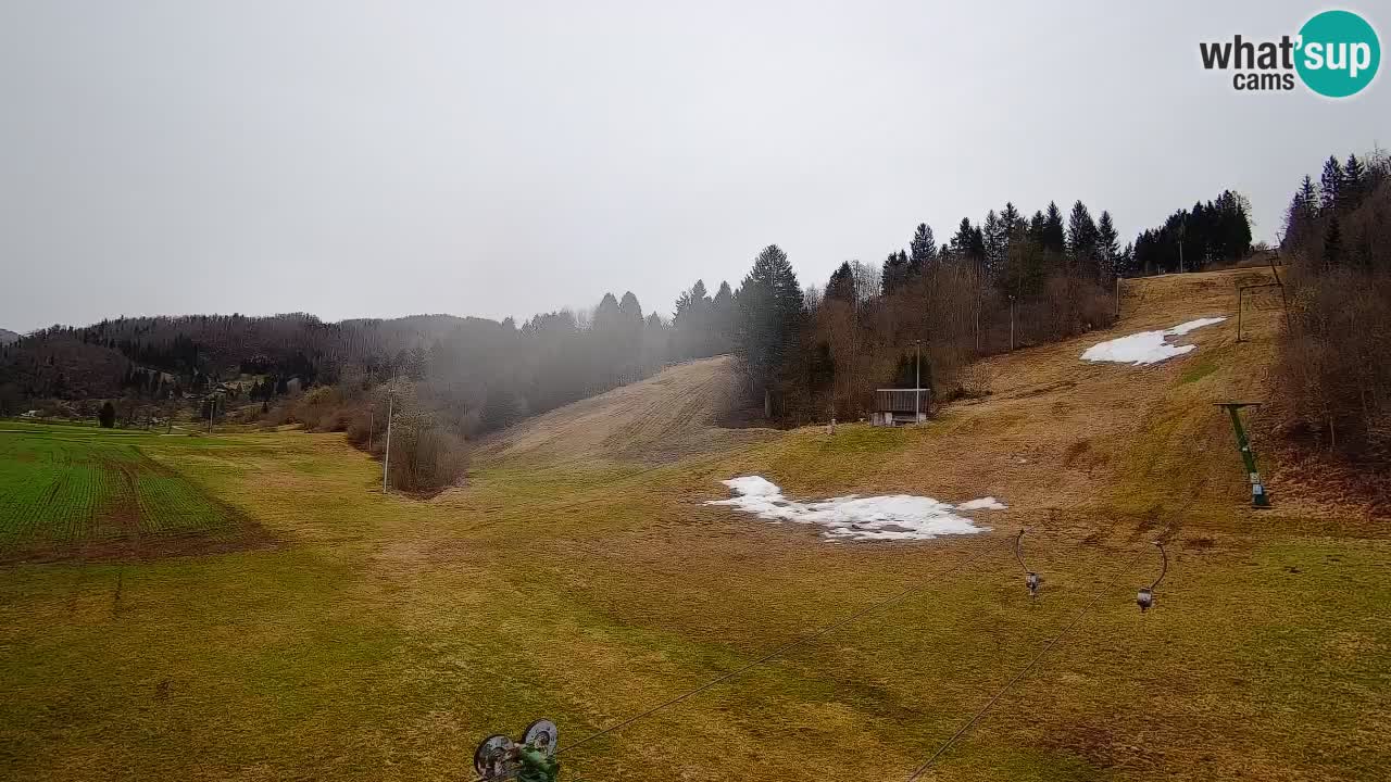 Webcam Smučišče Senožeta – Ski Resort Live View near Bohinj