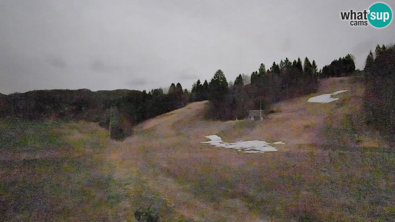 Webcam Smučišče Senožeta – Stazione sciistica a Srednja Vas vicino Bohinj