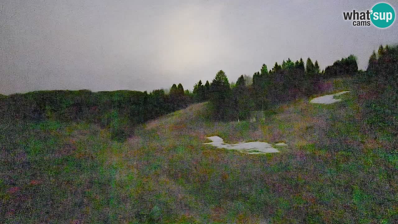 Spletna kamera Smučišče Senožeta – smučarsko središče v Srednji vasi pri Bohinju