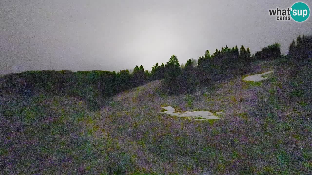 Spletna kamera Smučišče Senožeta – smučarsko središče v Srednji vasi pri Bohinju