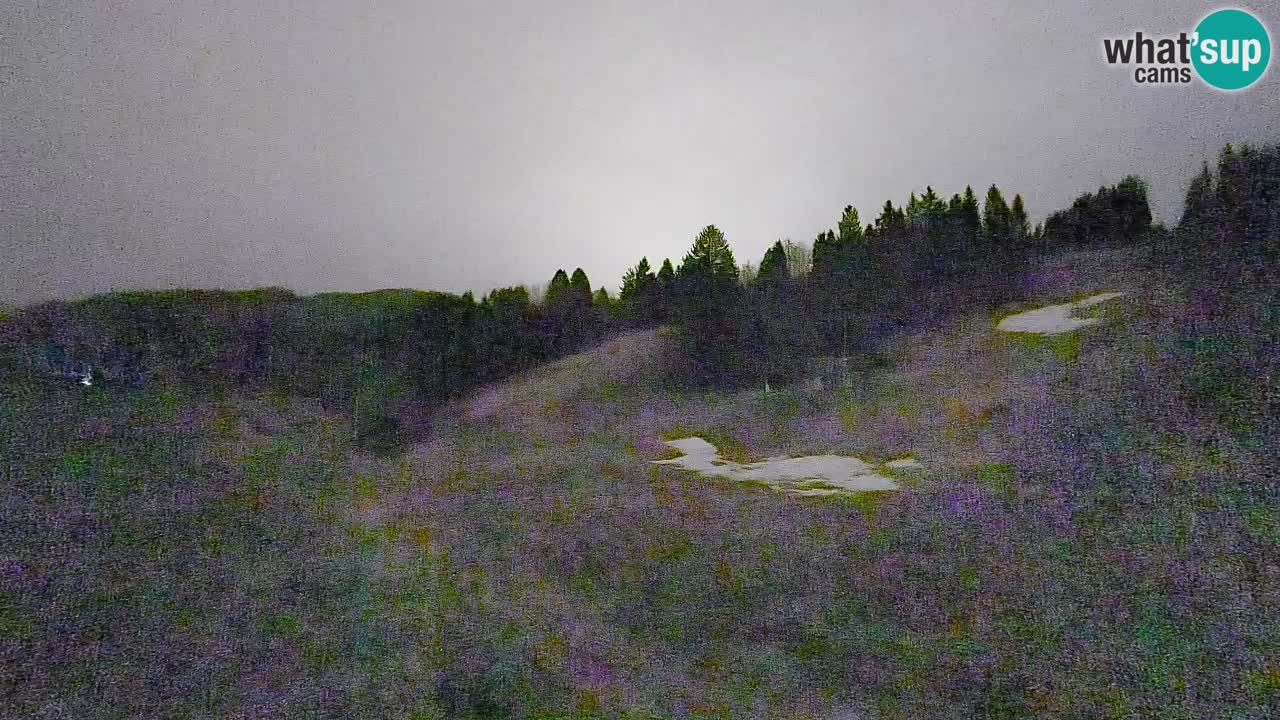 Web kamera Smučišče Senožeta – Skijalište u Srednjoj Vasi kod Bohinja