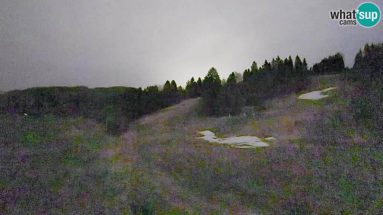 Webcam Smučišče Senožeta – Station de ski à Srednja Vas près de Bohinj