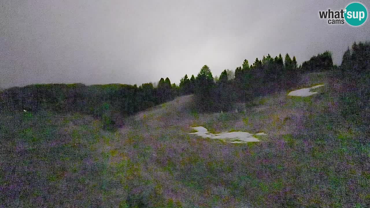 Webcam Smučišče Senožeta – Station de ski à Srednja Vas près de Bohinj