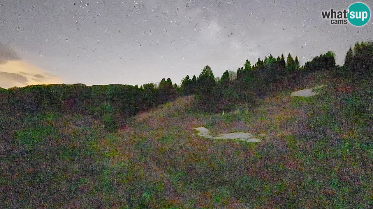 Web kamera Smučišče Senožeta – Skijalište u Srednjoj Vasi kod Bohinja