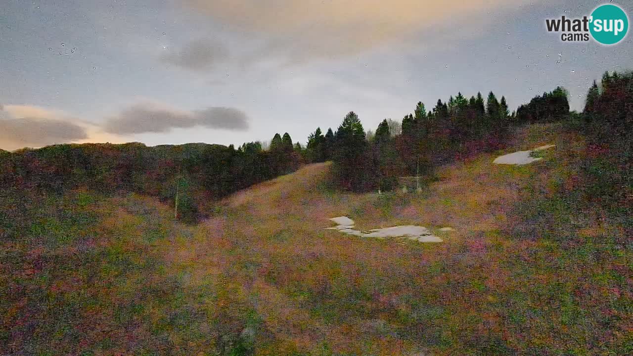 Webcam Smučišče Senožeta – Ski Resort Live View near Bohinj