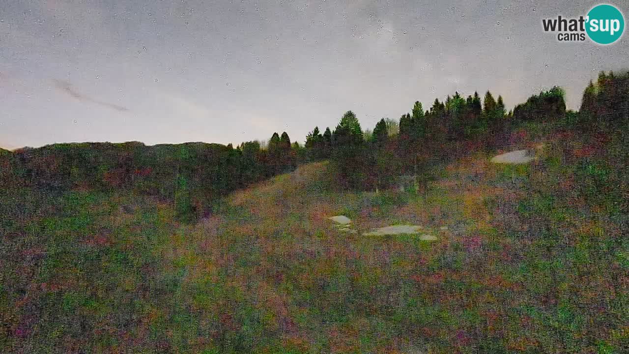 Cámara web Smučišče Senožeta – Estación de esquí en Srednja Vas cerca de Bohinj