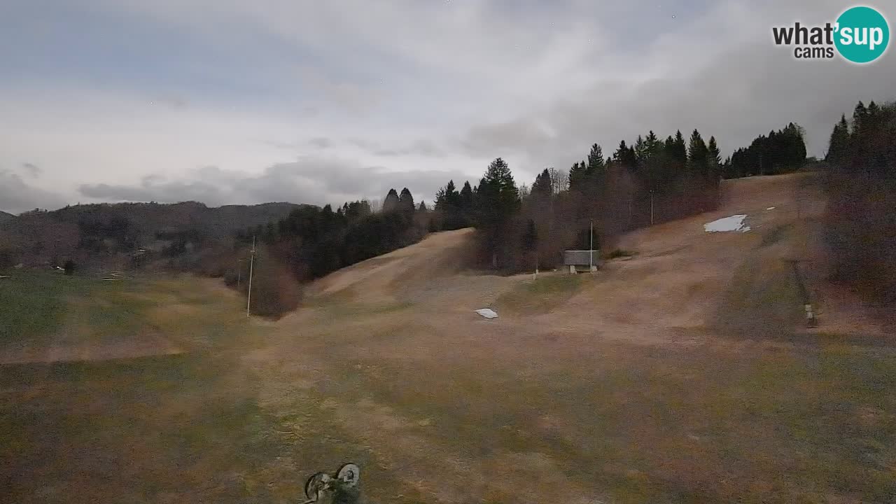 Spletna kamera Smučišče Senožeta – smučarsko središče v Srednji vasi pri Bohinju