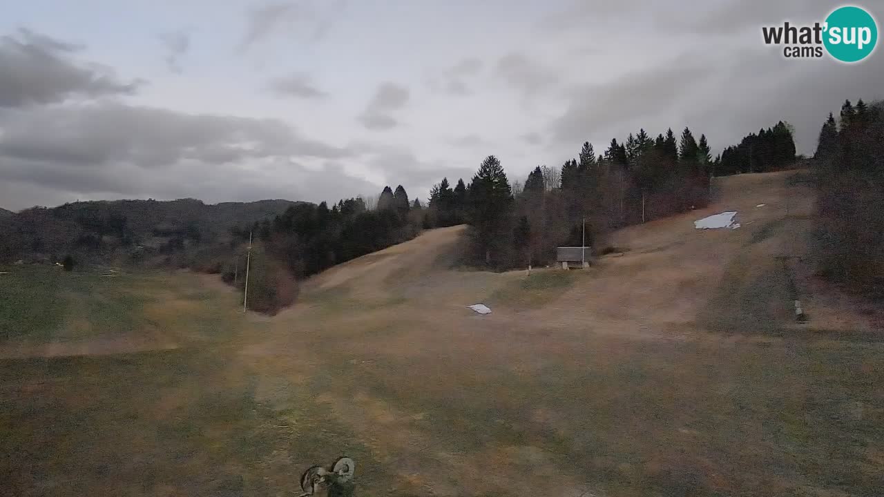 Webcam Smučišče Senožeta – Ski Resort Live View near Bohinj