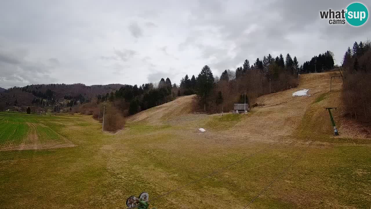 Spletna kamera Smučišče Senožeta – smučarsko središče v Srednji vasi pri Bohinju