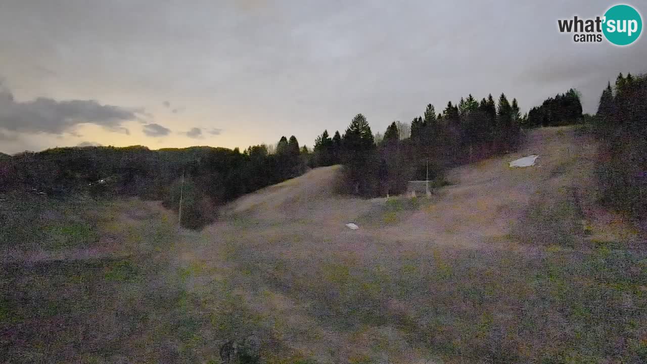 Webcam Smučišče Senožeta – Skigebiet in Srednja Vas bei Bohinj