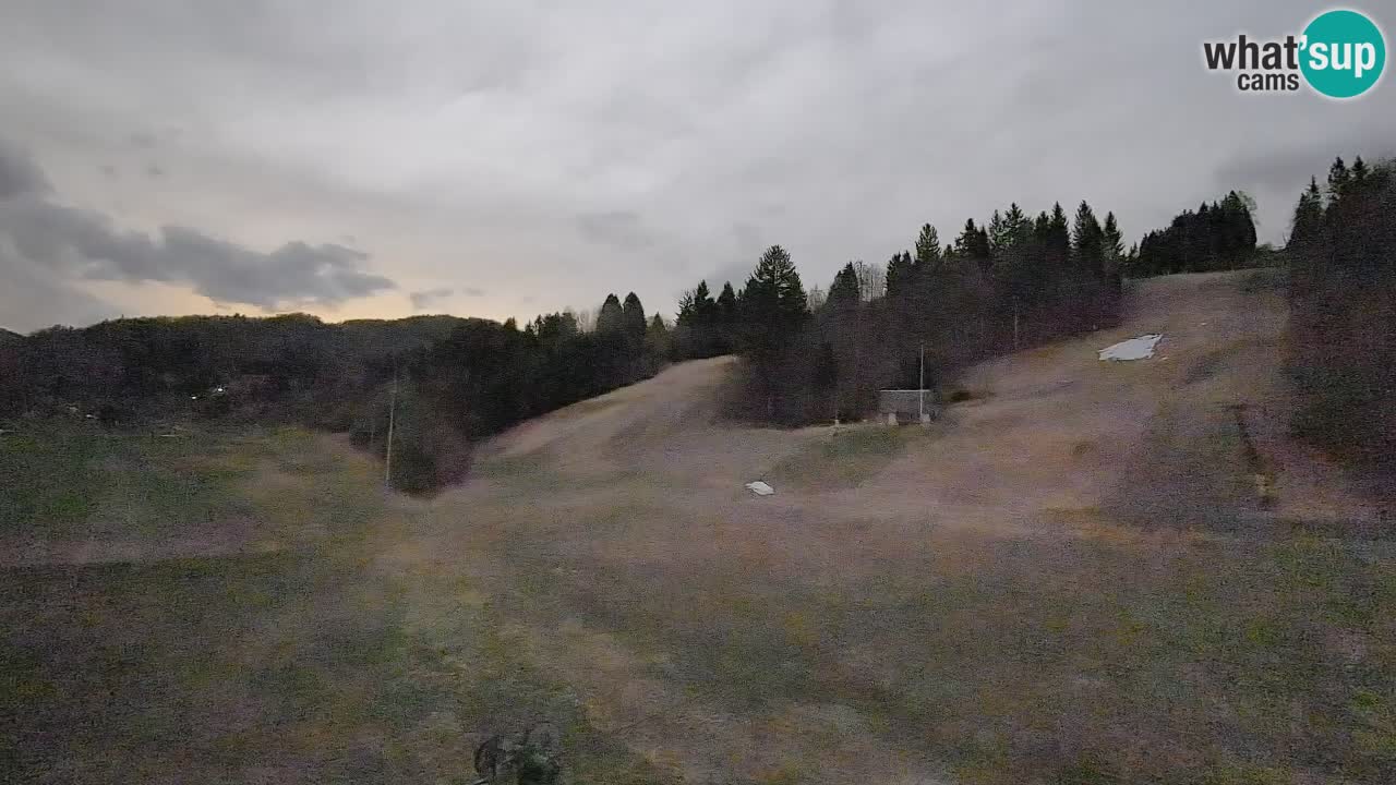 Webcam Smučišče Senožeta – Ski Resort Live View near Bohinj