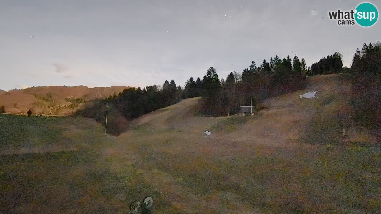 Web kamera Smučišče Senožeta – Skijalište u Srednjoj Vasi kod Bohinja