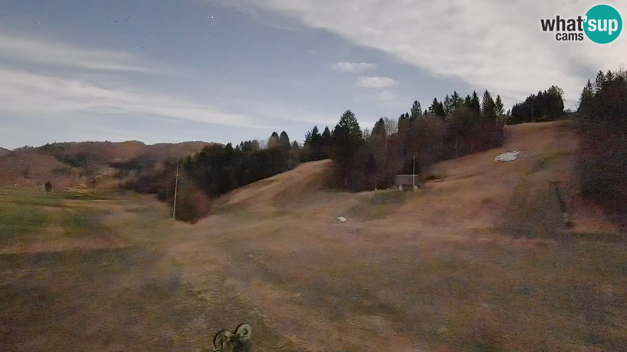 Webcam Smučišče Senožeta – Skigebiet in Srednja Vas bei Bohinj