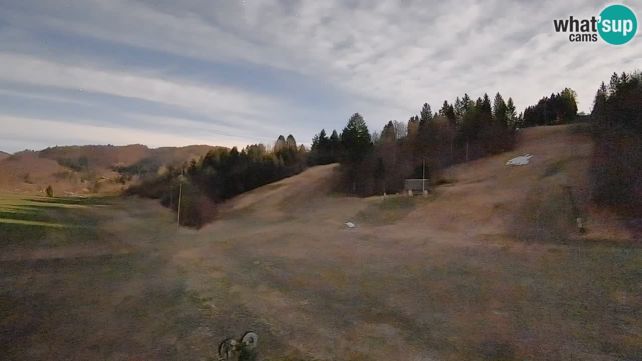 Webcam Smučišče Senožeta – Stazione sciistica a Srednja Vas vicino Bohinj
