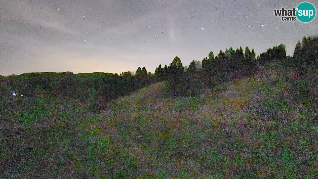 Webcam Smučišče Senožeta – Ski Resort Live View near Bohinj