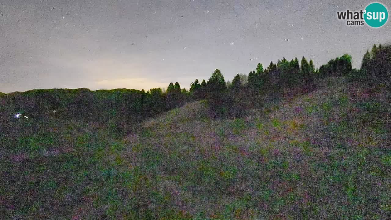 Spletna kamera Smučišče Senožeta – smučarsko središče v Srednji vasi pri Bohinju