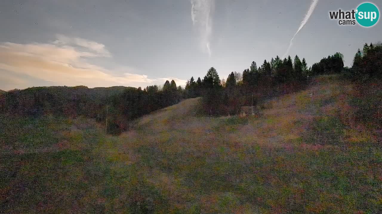 Spletna kamera Smučišče Senožeta – smučarsko središče v Srednji vasi pri Bohinju