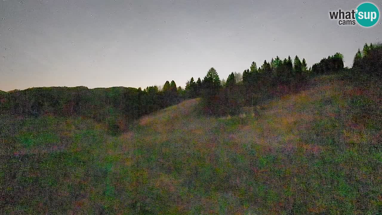 Webcam Smučišče Senožeta – Ski Resort Live View near Bohinj