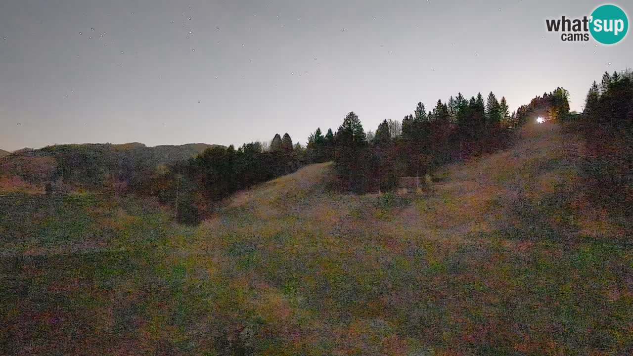 Webcam Smučišče Senožeta – Ski Resort Live View near Bohinj