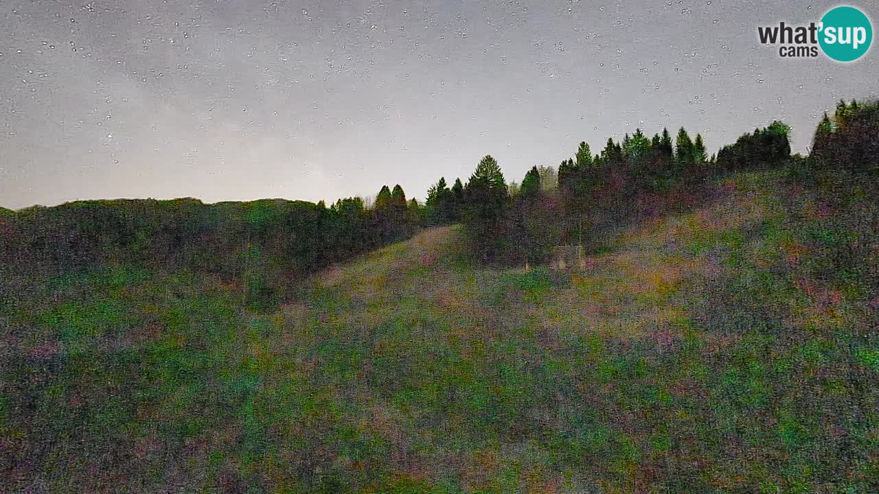 Webcam Smučišče Senožeta – Stazione sciistica a Srednja Vas vicino Bohinj