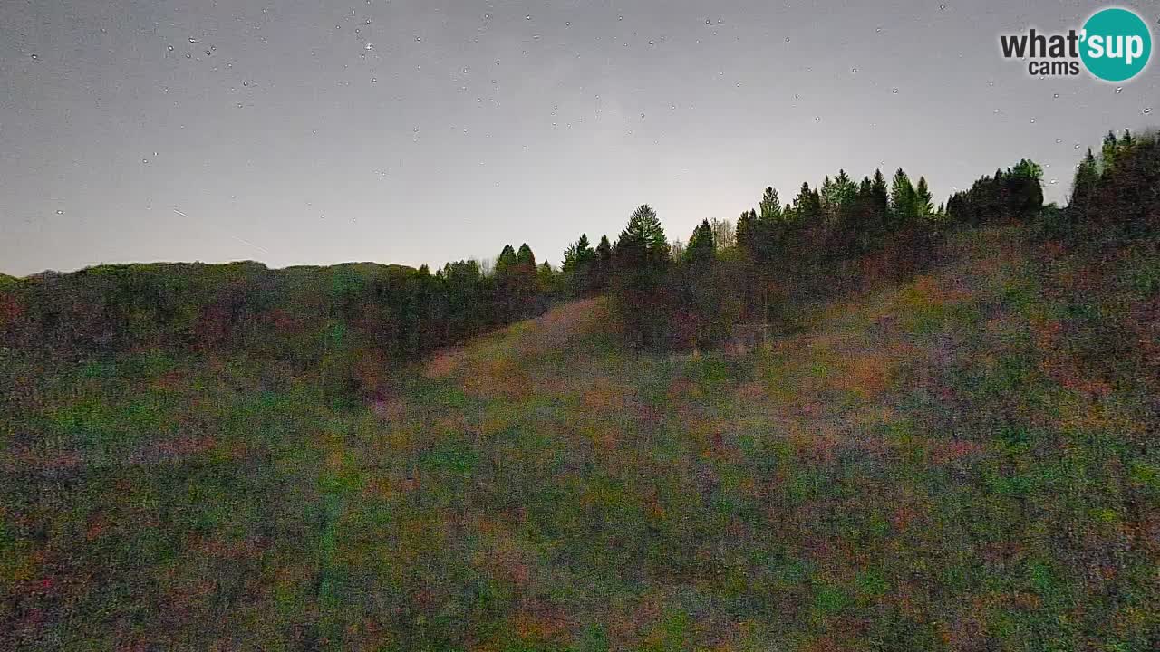 Spletna kamera Smučišče Senožeta – smučarsko središče v Srednji vasi pri Bohinju