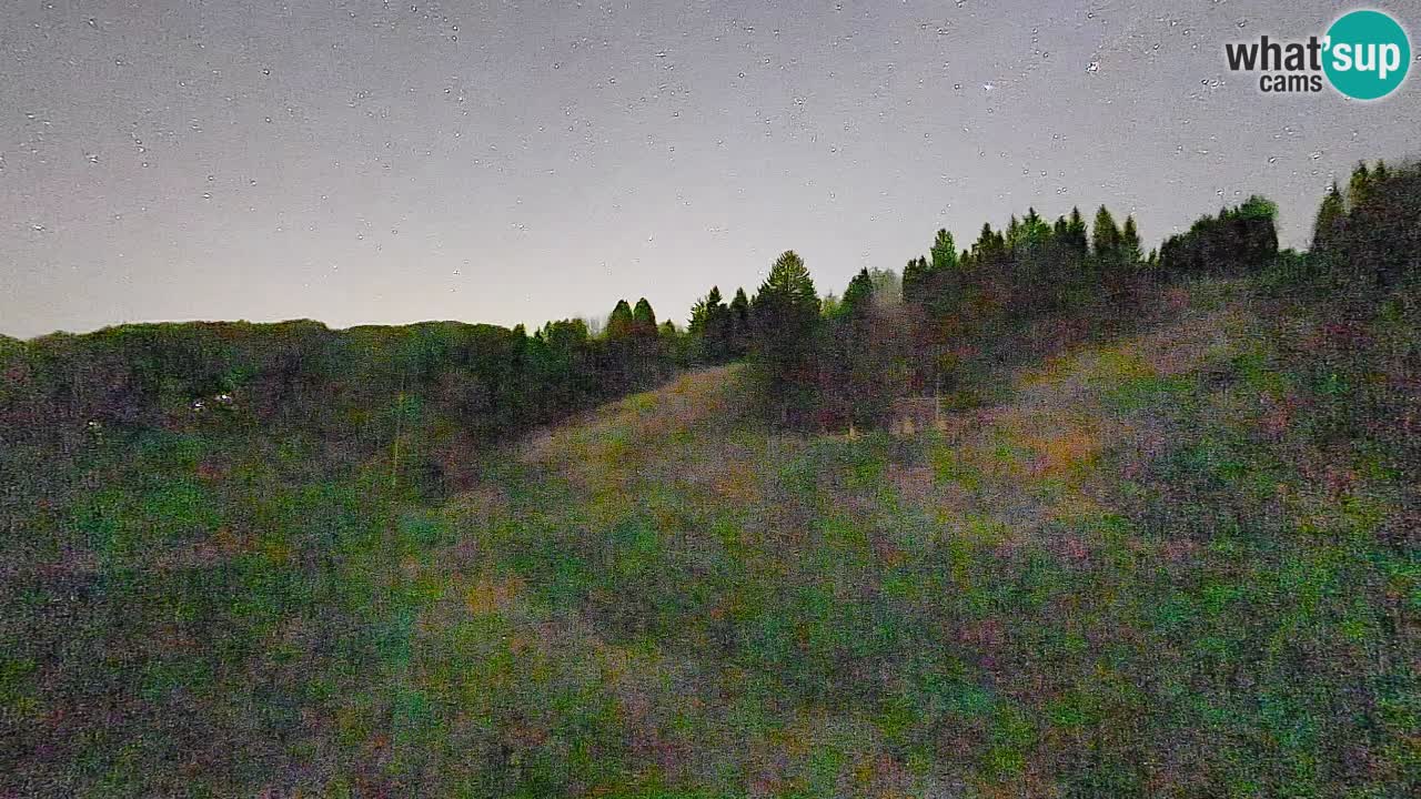 Cámara web Smučišče Senožeta – Estación de esquí en Srednja Vas cerca de Bohinj