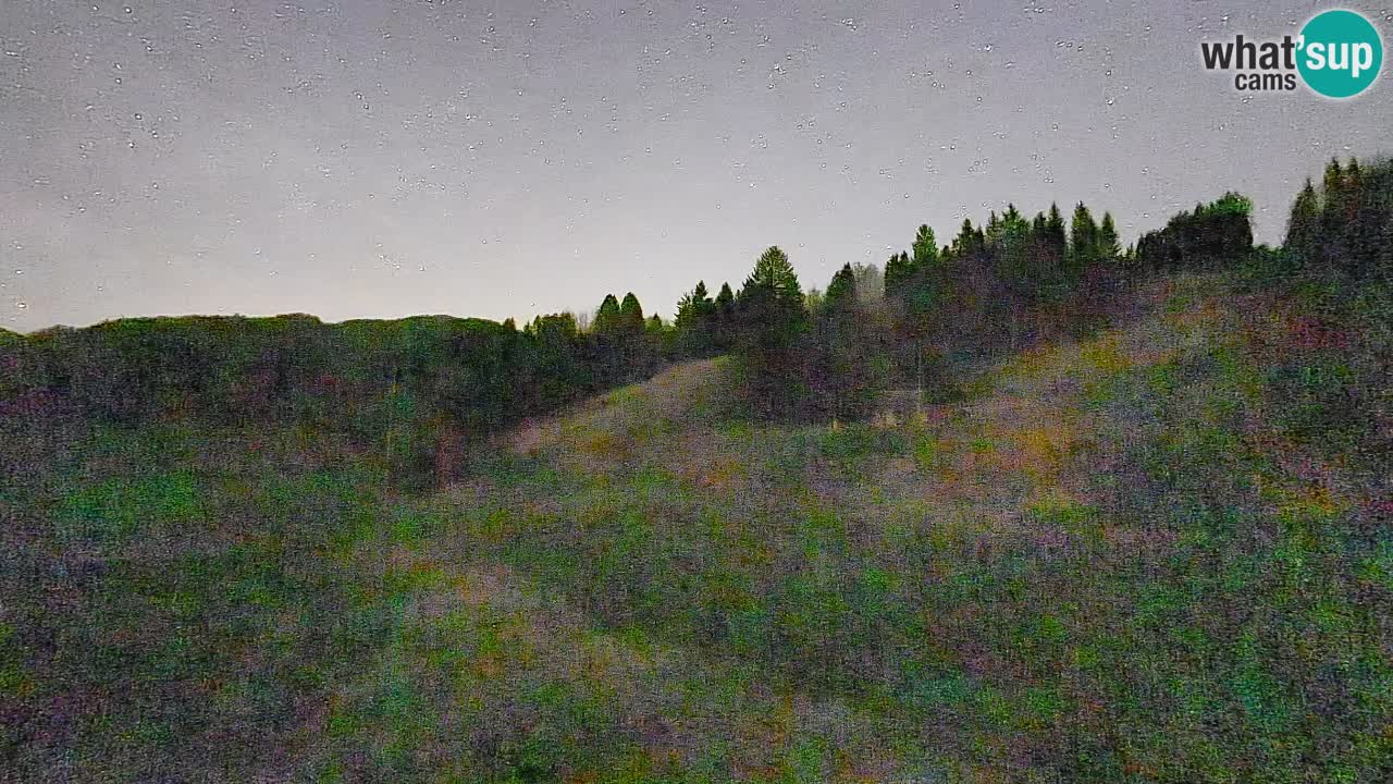 Webcam Smučišče Senožeta – Ski Resort Live View near Bohinj