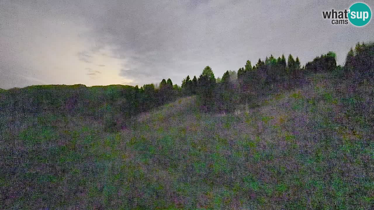 Webcam Smučišče Senožeta – Stazione sciistica a Srednja Vas vicino Bohinj