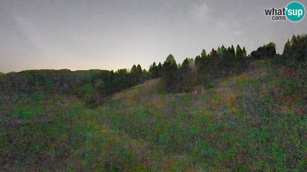 Webcam Smučišče Senožeta – Skigebiet in Srednja Vas bei Bohinj