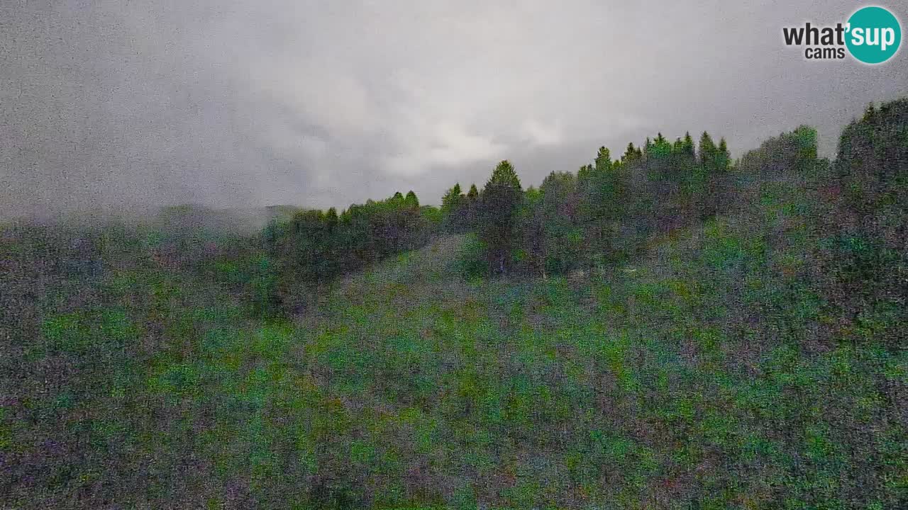 Webcam Smučišče Senožeta – Ski Resort Live View near Bohinj